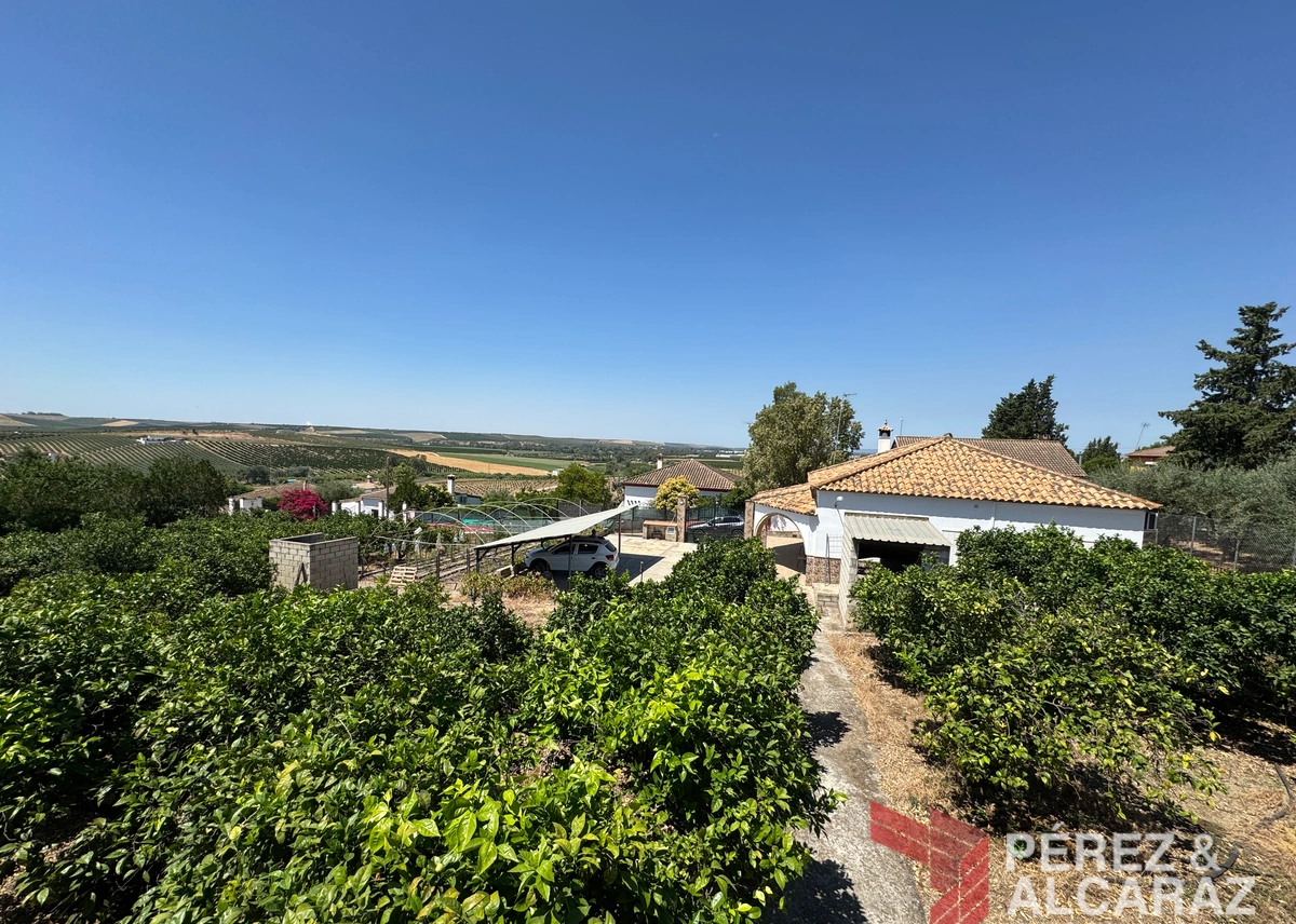 Parcela en «La Algaba».